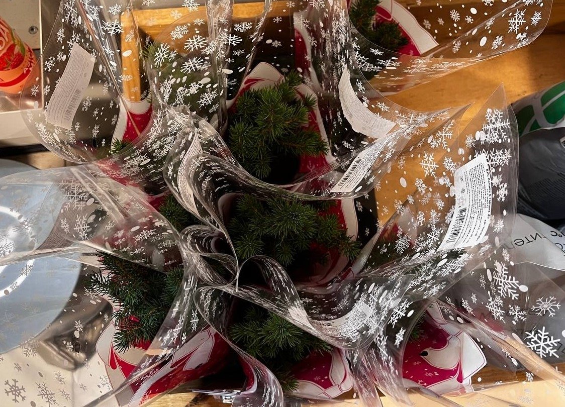 Фото: Любовь Смирнова / MR7