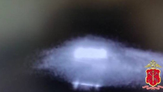 Фото: ГУ МВД России по Петербургу и Ленинградской области