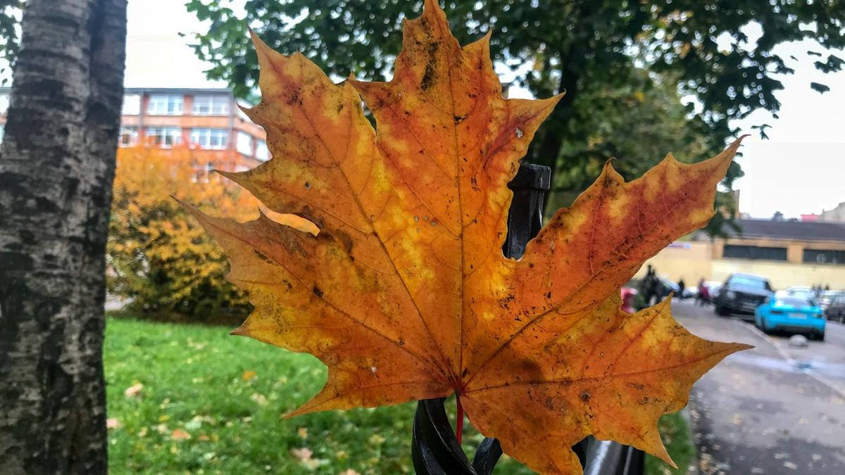 7 поводов выйти из дома 8-9 ноября