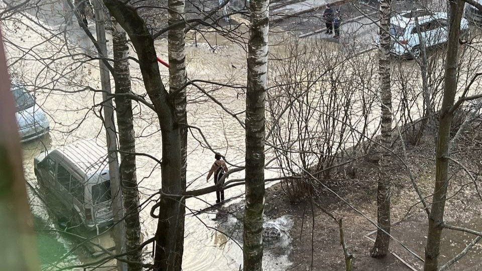 Фото: «Мегаполис»