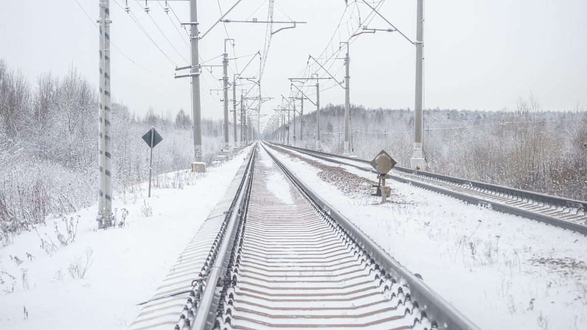 Фото: Олег Золото / MR7