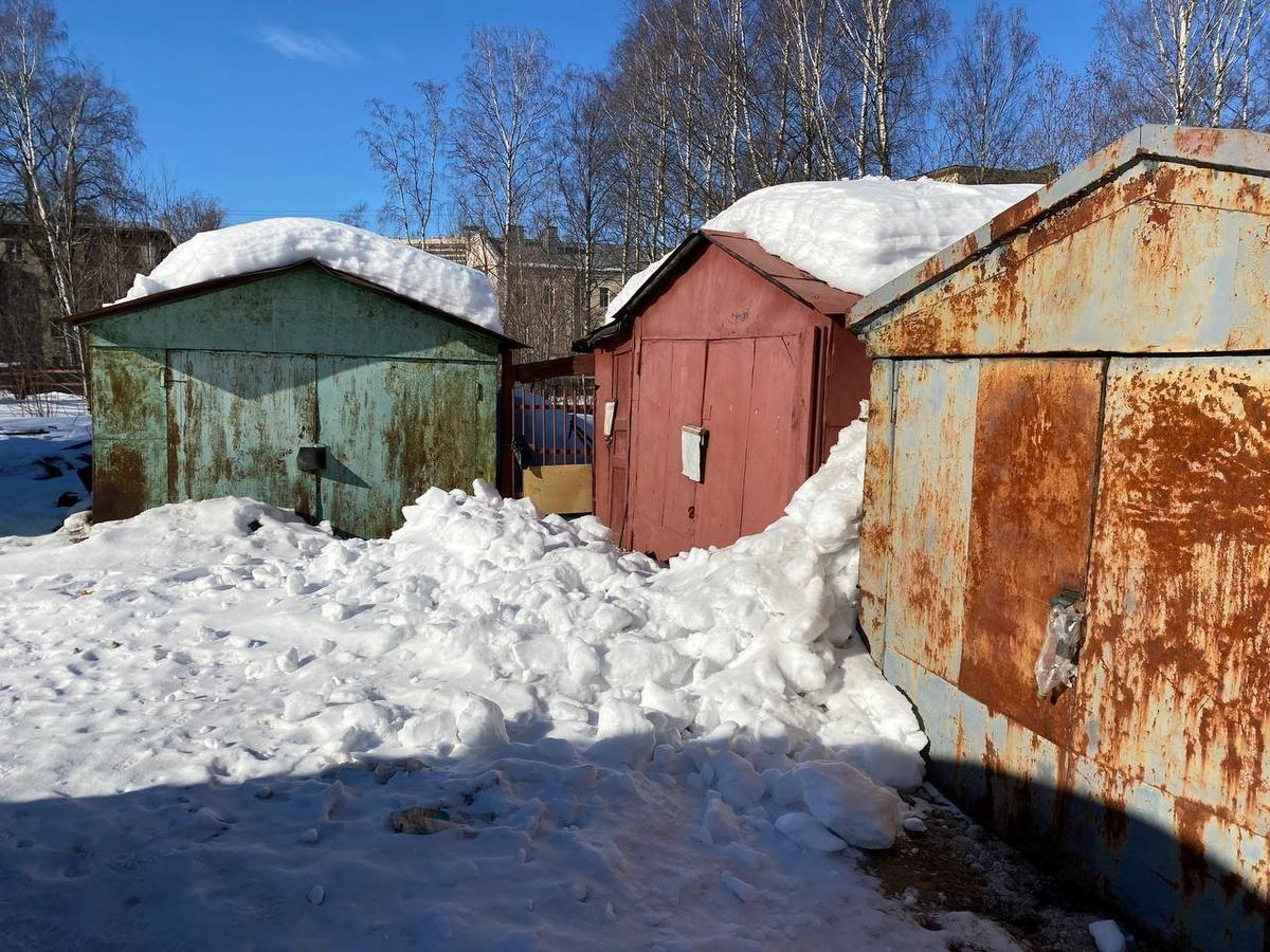 Фото: Андрей Швед / MR7