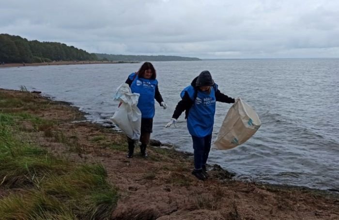Волонтеры очистили от мусора берег Финского залива в Смолячково