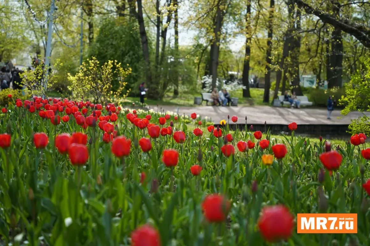 Фото: Павел Борисенко / MR7