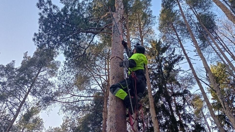 Фото: «Кошкиспас»