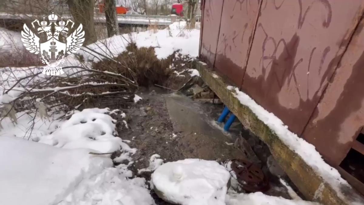 Скриншот: Северо-Западное межрегиональное управление Росприроднадзора