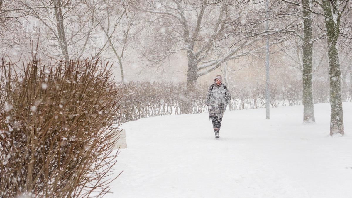 Фото: Олег Золото / MR7