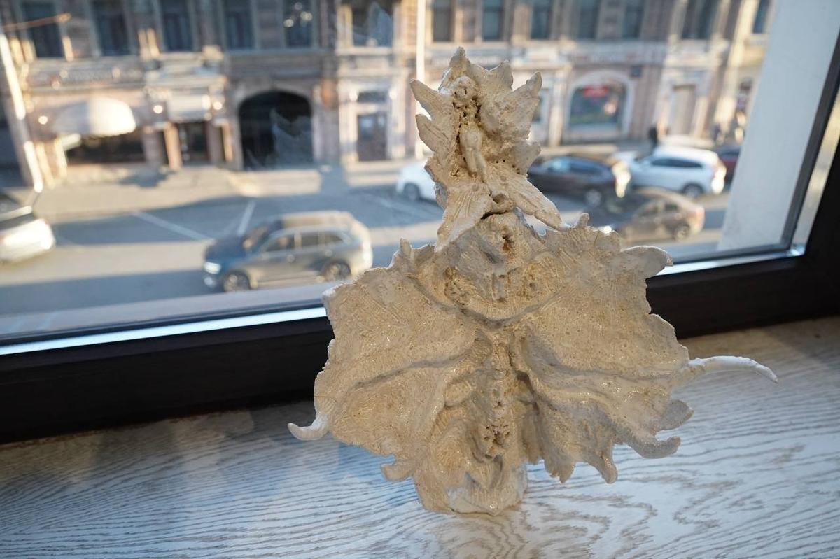 Фото: Павел Борисенко / МР7