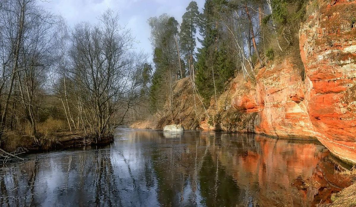 Фото: жители Сиверского