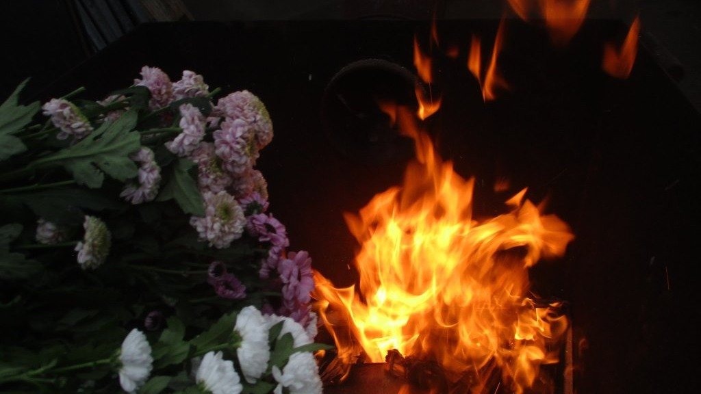 Фото: Северо-Западное управление Россельхознадзора