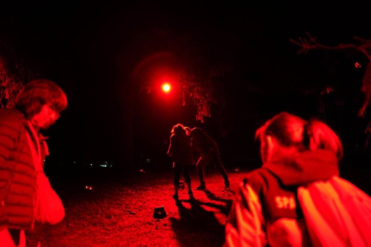 Фото: Павел Борисенко / MR7