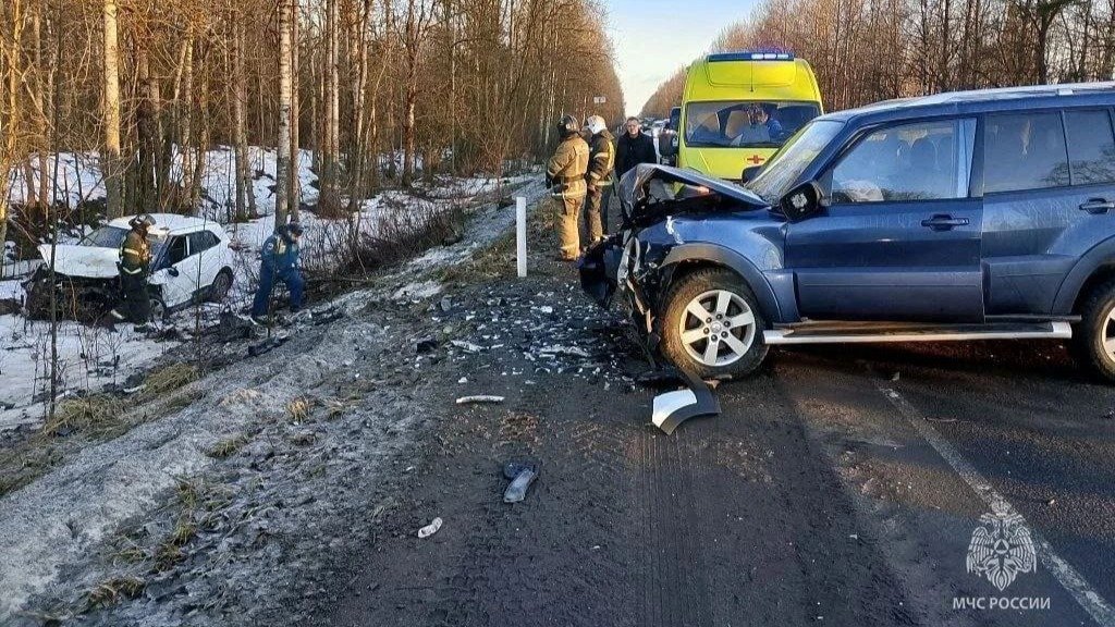 Фото: МЧС России