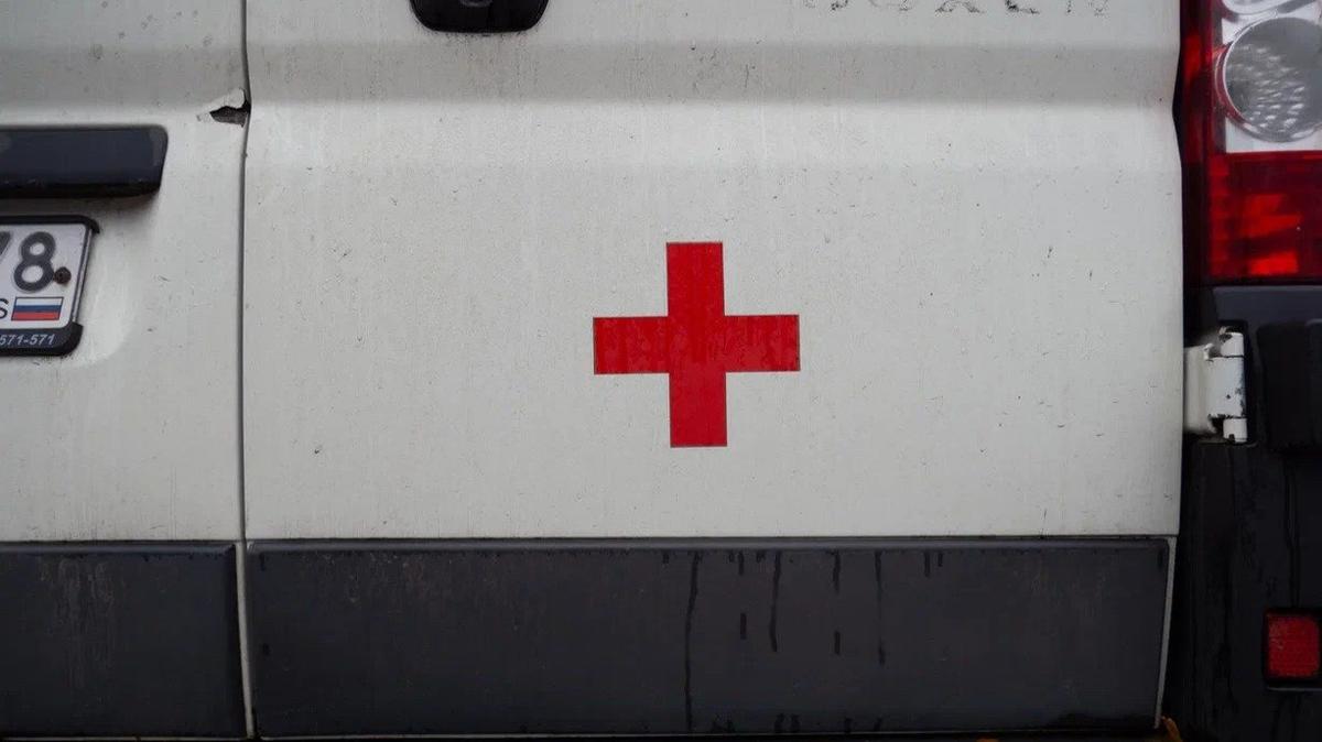 Фото: Дмитрй Абрамов / МР7