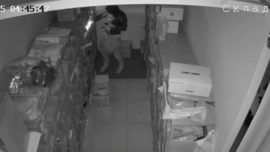 Скриншот видео ГУ МВД по Петербургу и Ленобласти