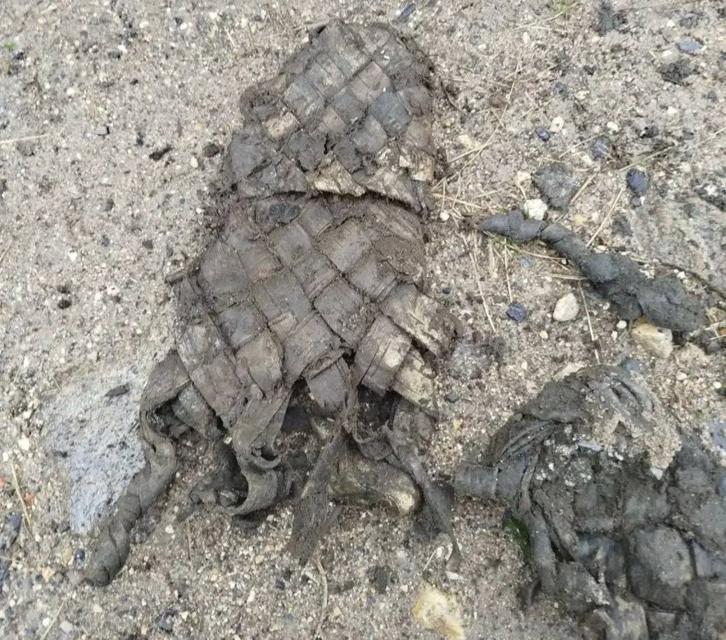 Фото: Леноблводоканал