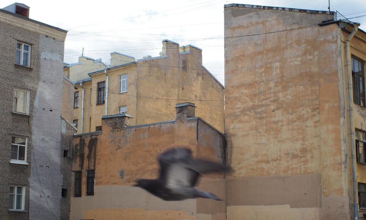 Фото: Дмитрий Абрамов / MR7