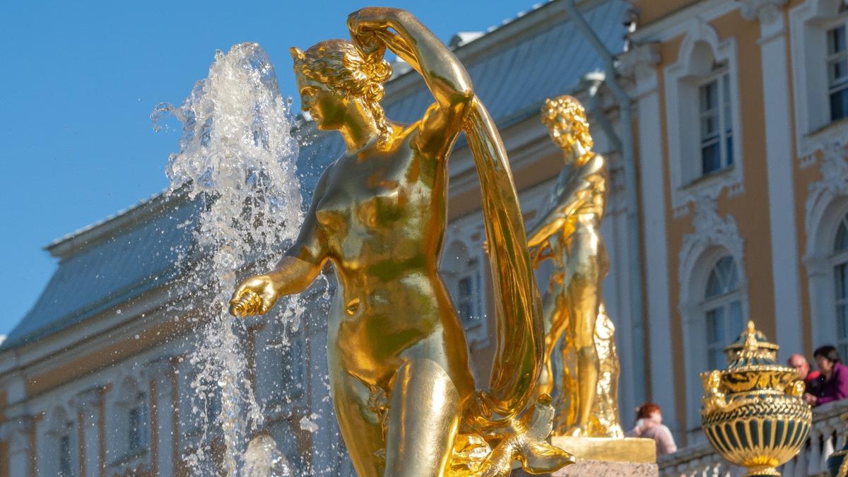 Фото: Олег Золото / МР7