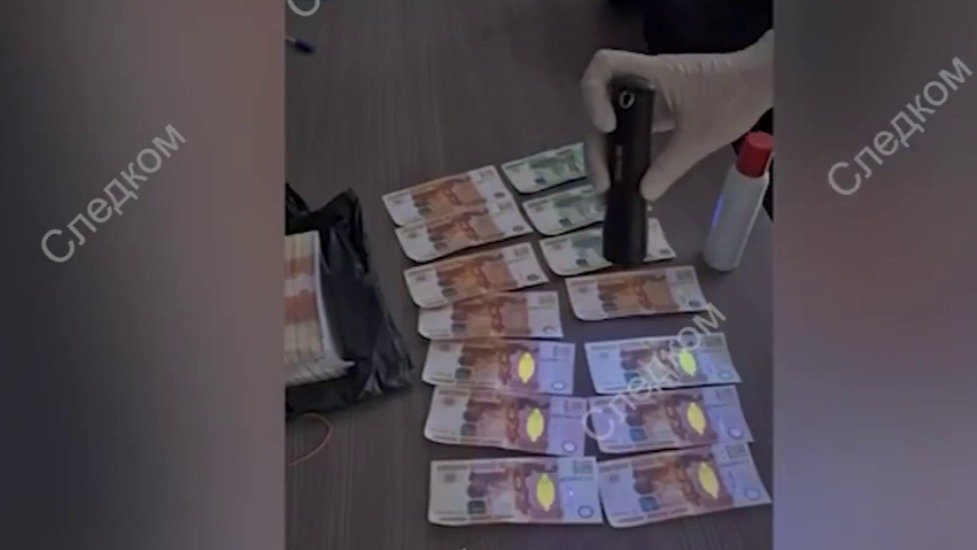 Скриншот видео Следственного комитета Ленобласти