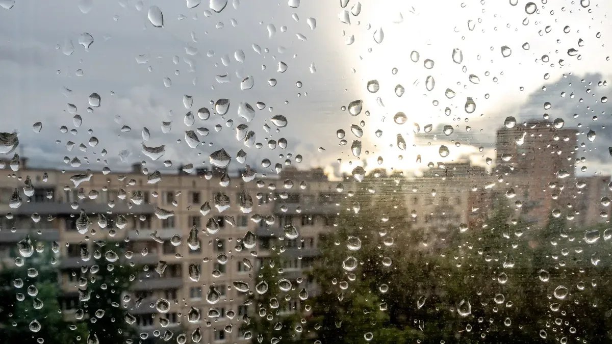 Фото: Олег Золото / MR7