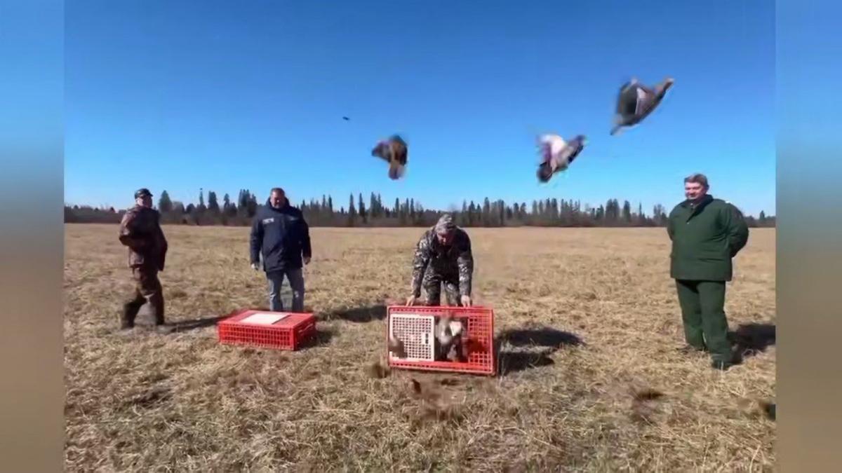 Скриншот видео: telegram-канал Александра Дрозденко