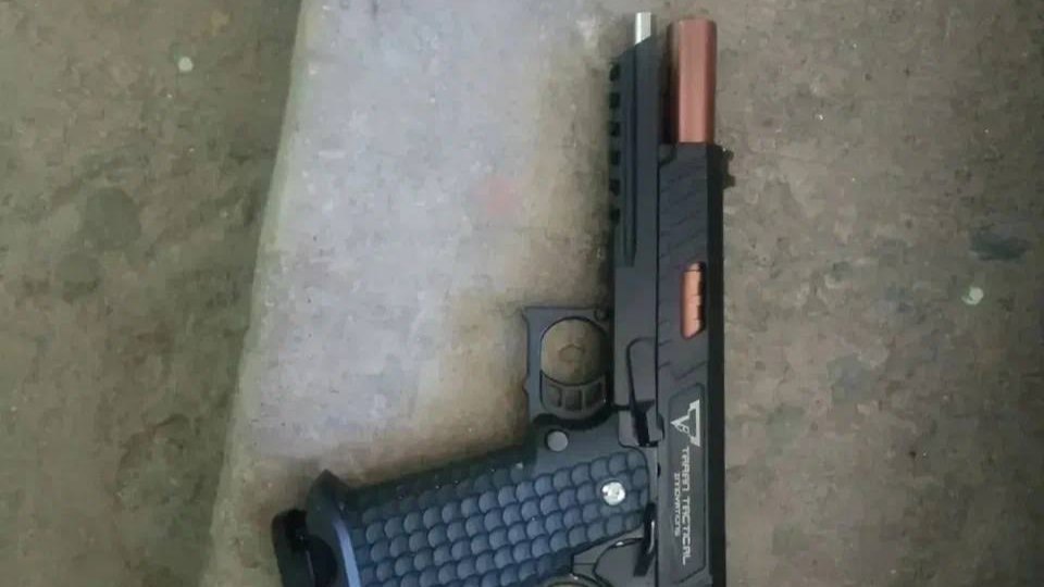 Фото: МВД по Петербургу и Ленобласти