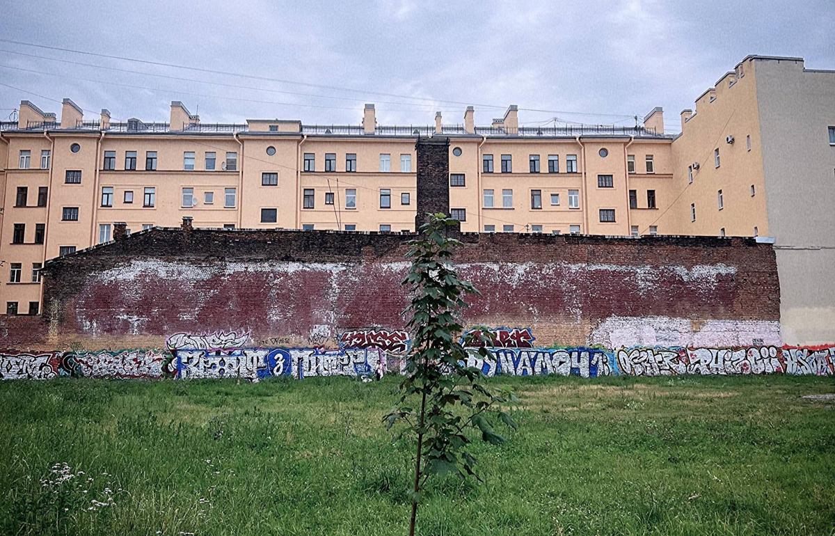 Фото: Maestro Jackie (street artist)