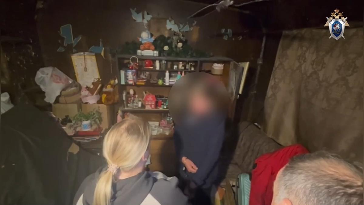 Скриншот: видео СК Ленобласти