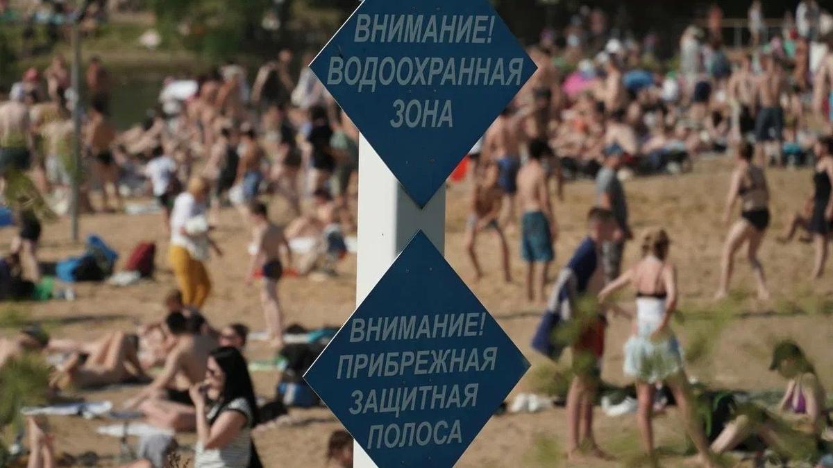 Фото: Павел Борисенко / МР7