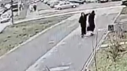 Скриншот: ГУ МВД по Петербургу и Ленобласти