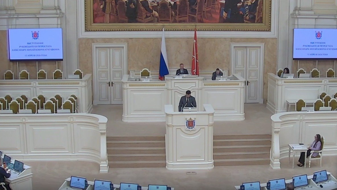 Скриншот трансляции Заксобрания Петербурга