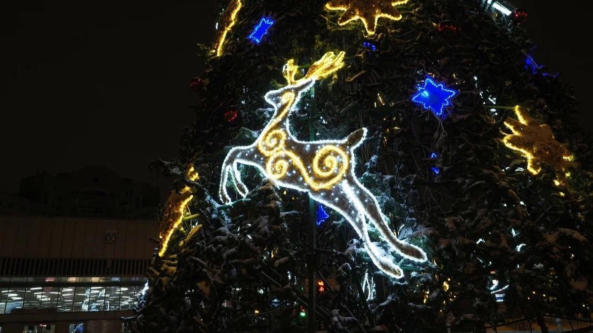 Фото: Олег Золото / МР7