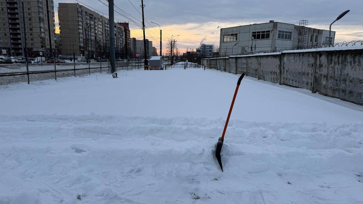 Фото: ГАТИ Петербурга