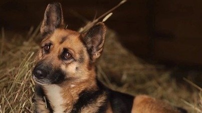 Фото: Признавашки ДТП и ЧП Санкт-Петербург