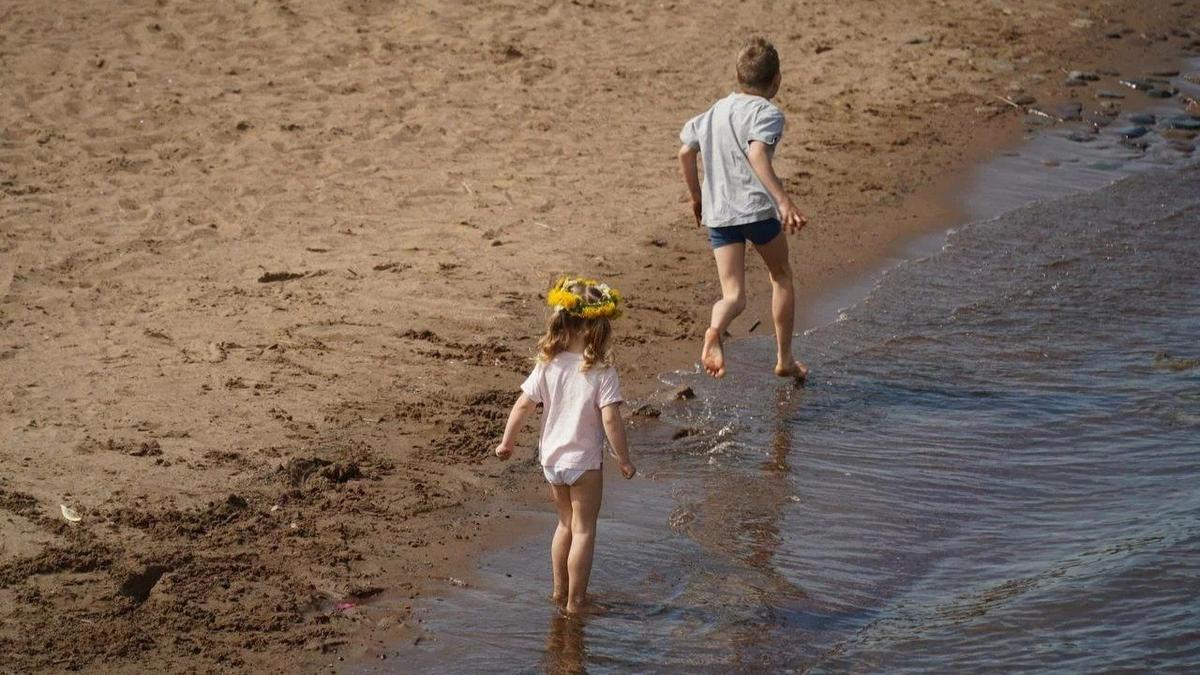 Фото: Павел Борисенко / МР7