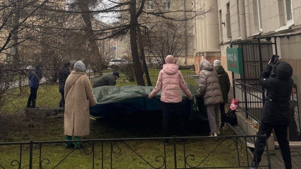 На улице Опочинина сняли кошку с высокого дерева