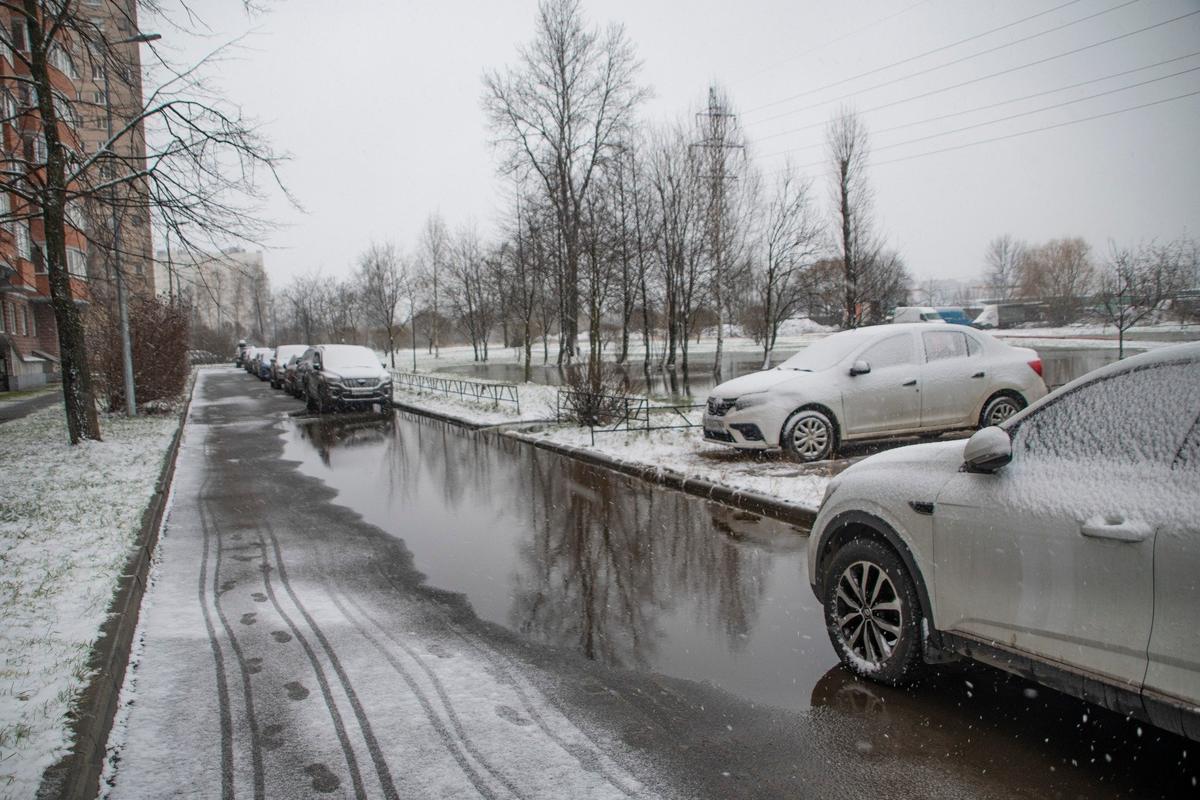 Фото: Ольга Ясененко / «Новости Купчино»