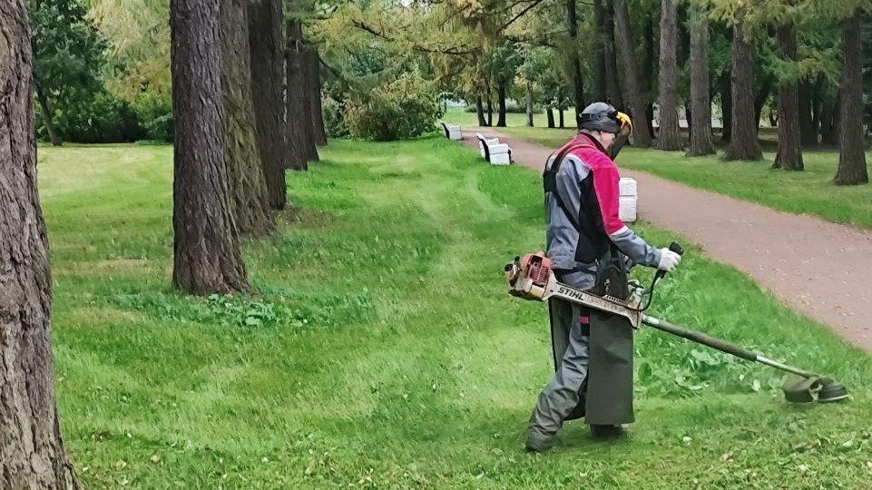 Фото: администрация Петроградского района