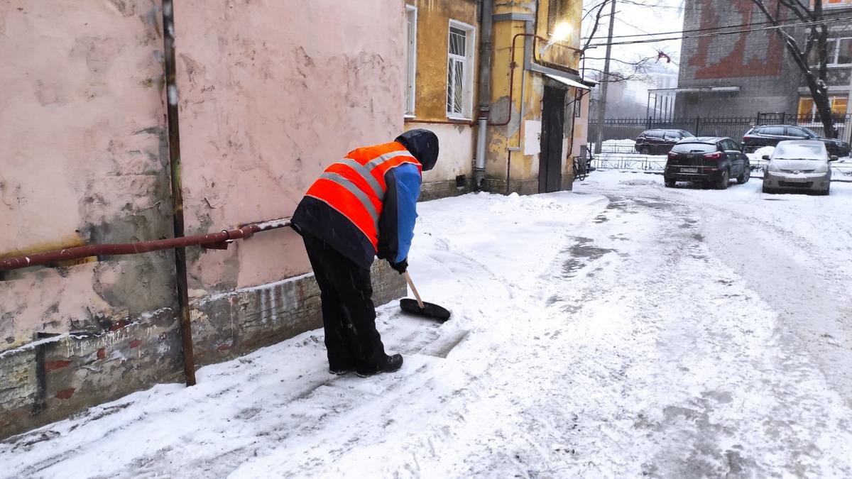 Фото: пресс-служба Смольного
