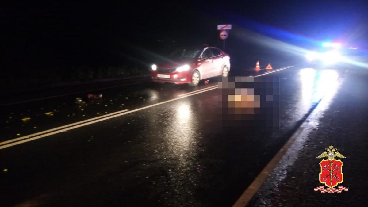 Фото: пресс-служба ГУ МВД России по Петербургу и Ленобласти