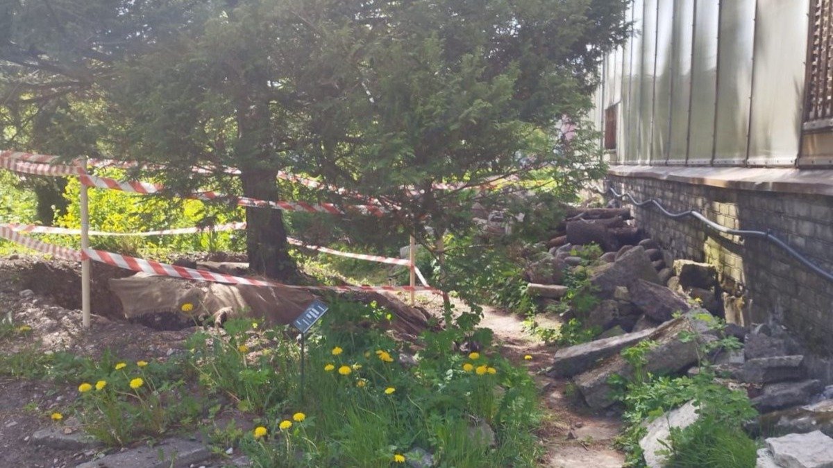 Фото: читатель MR7