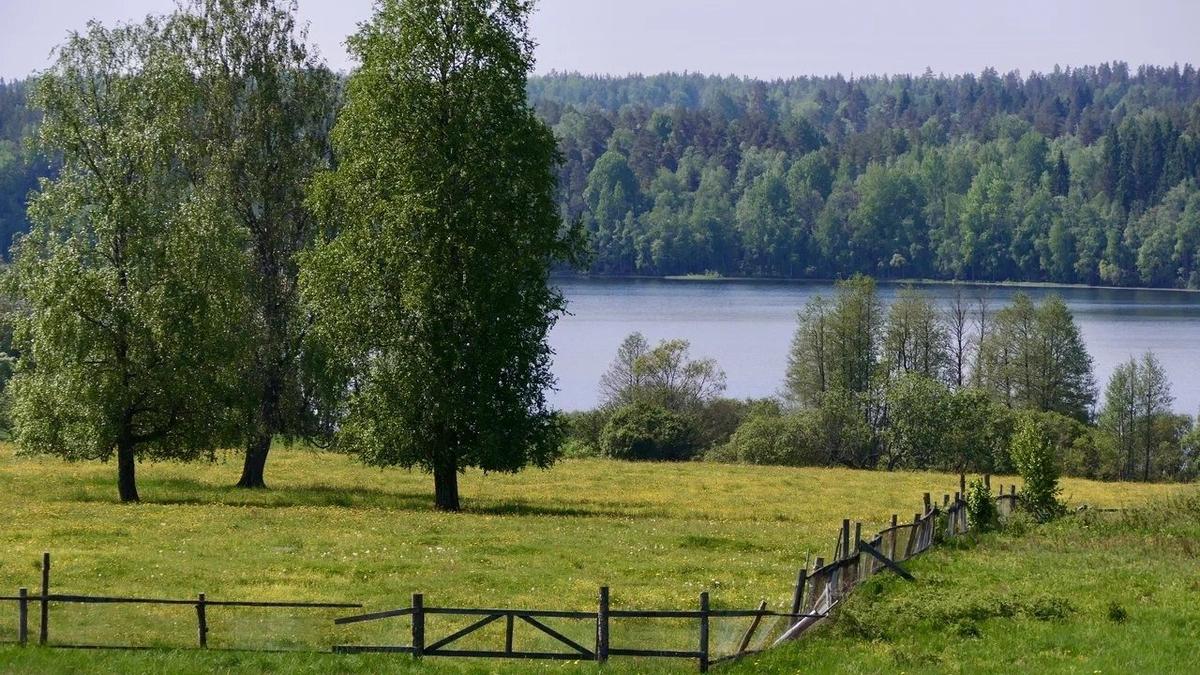 Фото: Павел Даиси / MR7