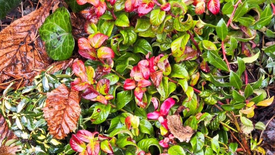 Фото: читатель МР7