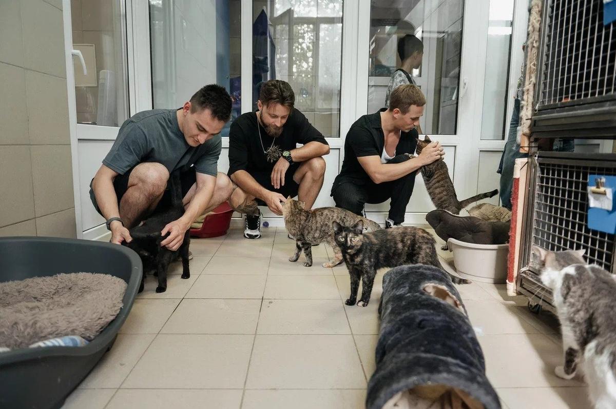 Фото: предоставлено «Шоу под дождем»