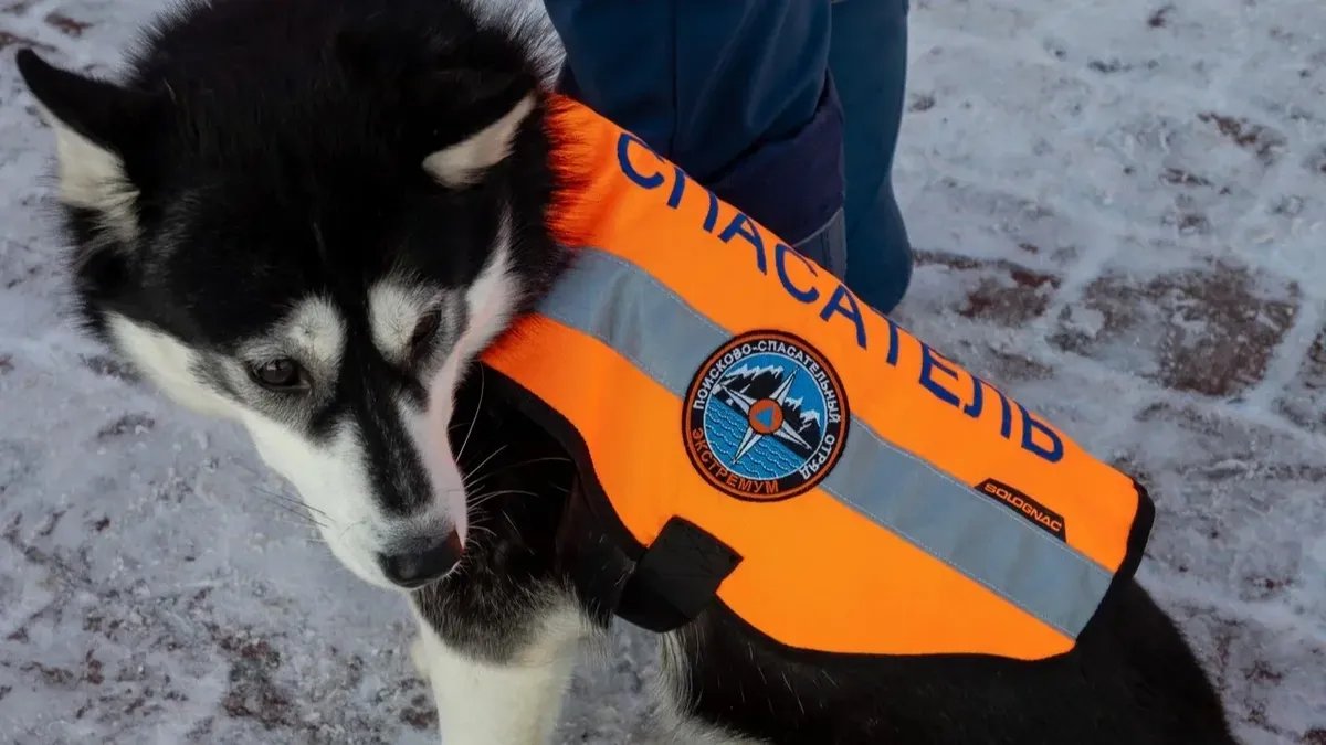 Фото: Олег Золото / МР7