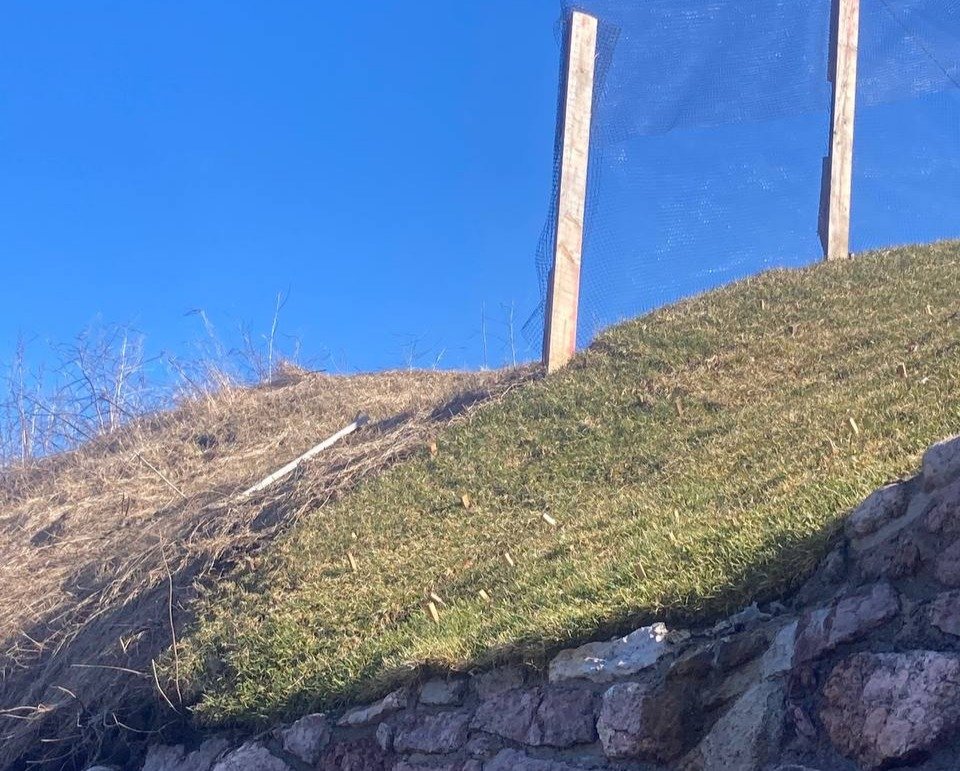 Фото: telegram-канал «Выборг Free»