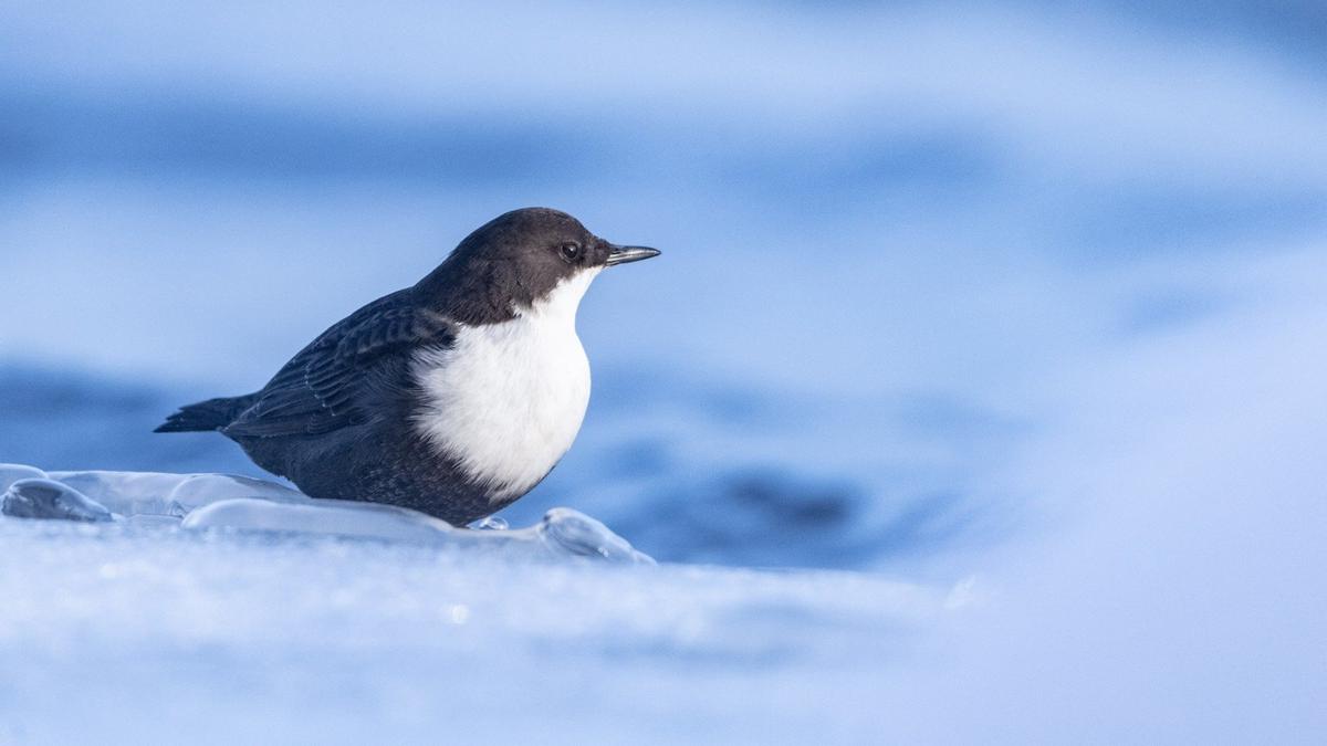 Фото: Катя Стрельникова / «Астрофотоболото»