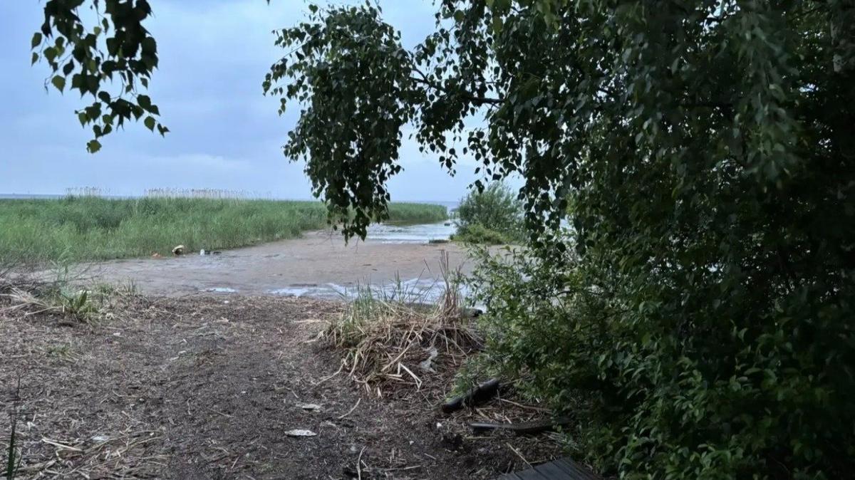Фото: Следком по Петербургу