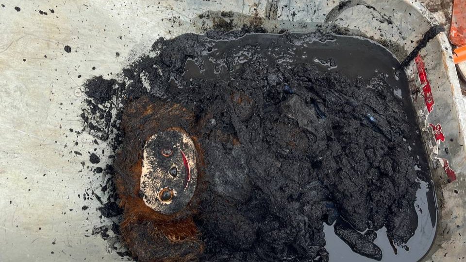 Не смывайте чебурашек в унитаз!