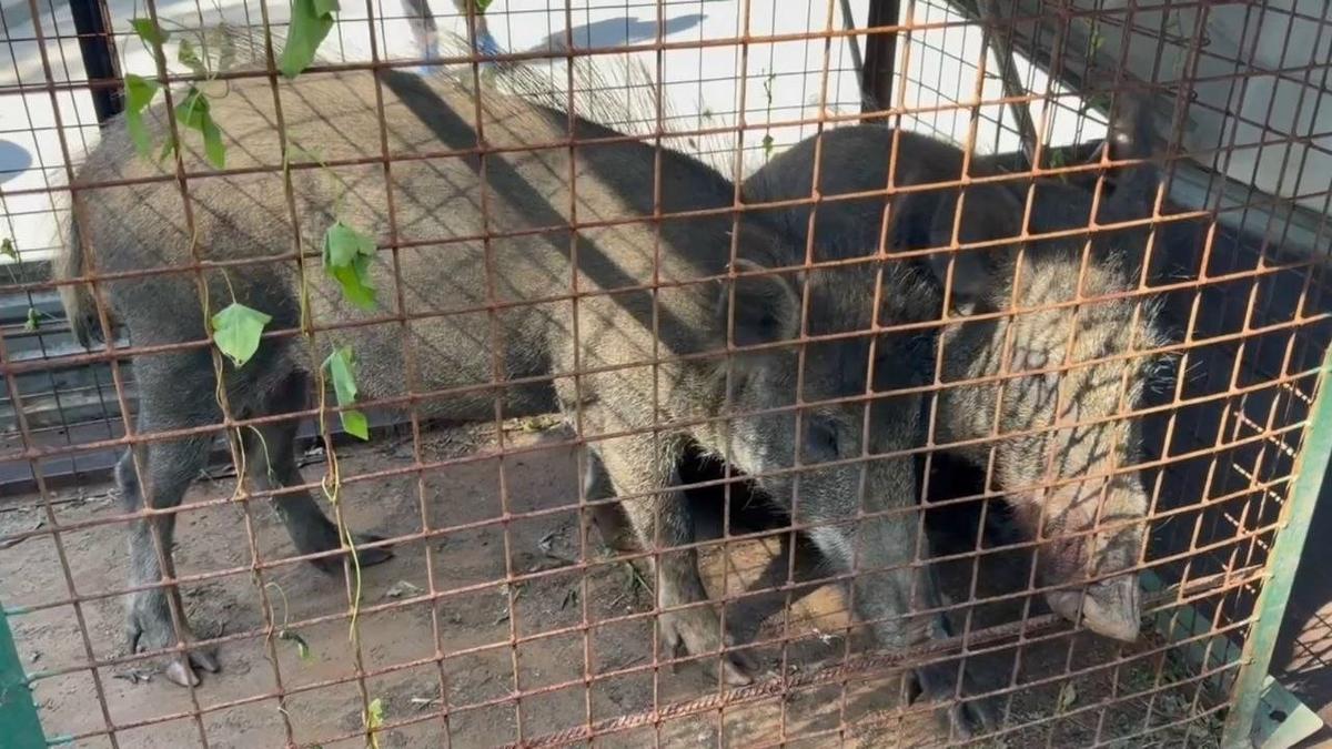 Фото: комитет по природовользованию