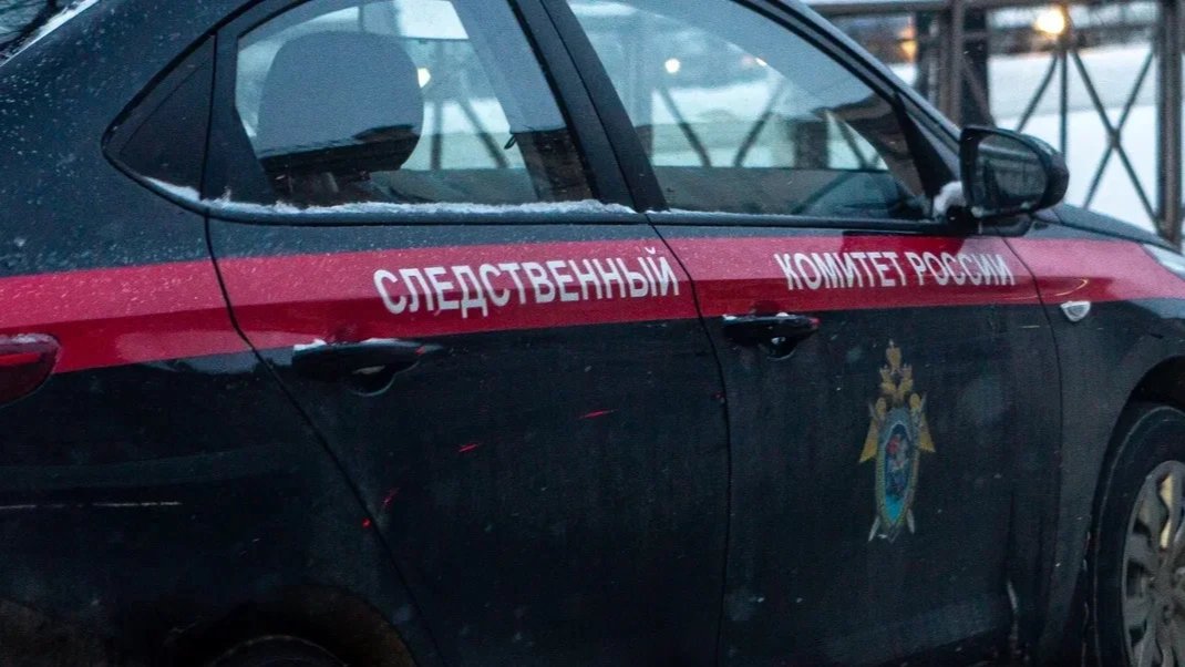 СК возбудил уголовное дело после ранения ножом актёра театра имени Ленсовета Ильи Деля